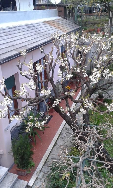 Casa Tra Il Verde E Il Blu Cenova Dış mekan fotoğraf